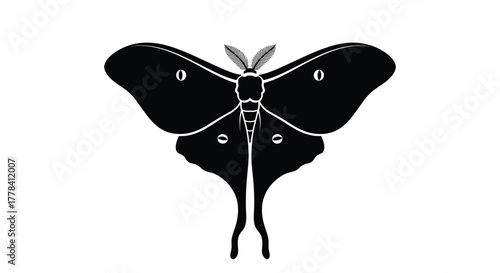 Minimalist black and white vector art of a luna moth with elegant wings, long tails, and characteristic white eye spots, isolated on a clean background.