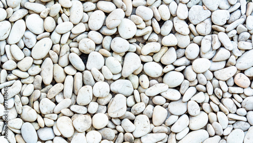 Canvas Print A beautiful, high-resolution, full-frame background composed of naturally polished, smooth white and off-white river pebbles, ideal for text overlays and texture use
