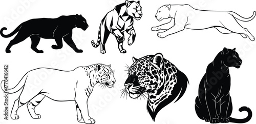 Panther leopard illustrations in silhouette, line art, geometric, and realistic styles showing walking, leaping, standing, seated, and headshot poses