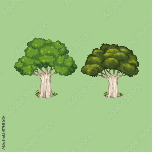 Two cartoon trees with green foliage and white trunks stand side by side against a light green background in a simple illustration style perfect for educational materials and nature themes