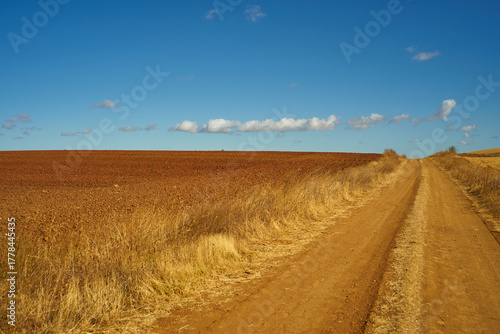 Beautiful landscape of a dry straw field in late summer