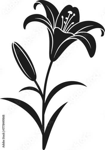 Black silhouette of a lily flower with bud and leaves on white background