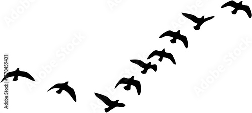 Silhouette of Flying Birds in Formation A Visual of Flight and Nature's Movement