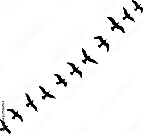 A flock of bird silhouettes flying in a diagonal formation. Vector illustration of migrating birds in a row, isolated on a white background