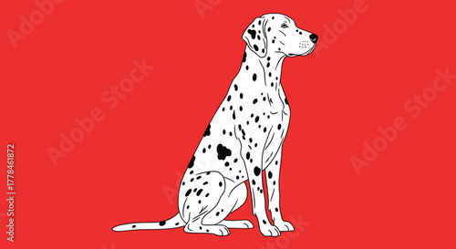 A stylized illustration of a black and white Dalmatian dog sitting attentively on a vibrant red background.