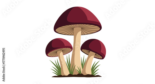 Vibrant cartoon illustration features a cluster of three mushrooms, one large and two smaller, with red caps and visible gills, nestled in green grass and soil.