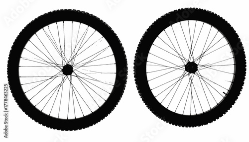Silhouetted image featuring two bicycle wheels, showcasing rims, spokes, tires, and hub design