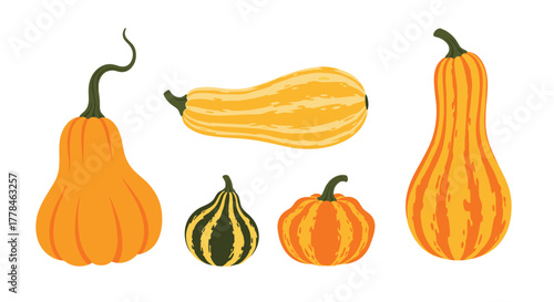 A vibrant collection of diverse autumn gourds and squashes, showcasing various shapes and striped patterns, isolated on a white background.
