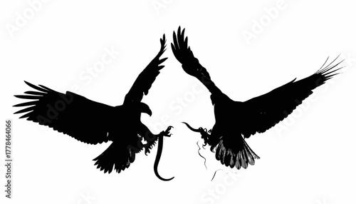 Black silhouette image of two eagles in flight facing each other, talon-to-talon, over a snake