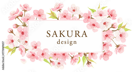 満開の桜の花のフレームデザイン,長方形,春,和風,ピンク,背景,ベクター
