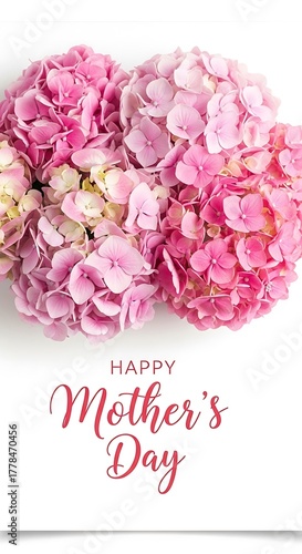 Happy Mothers Day with Pink Hydrangea Flowers.