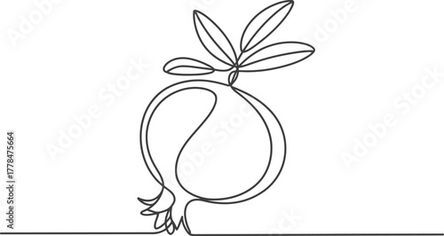 Pomegranate line art vector drawing fruit illustration minimalist design art