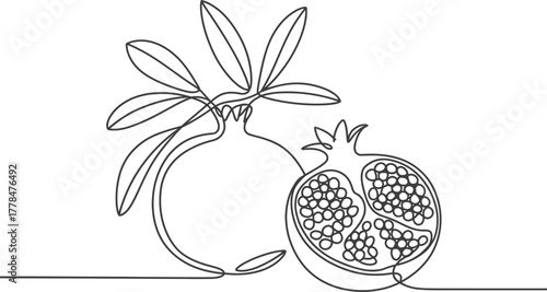 Pomegranate fruit line art drawing outline vector illustration design food art