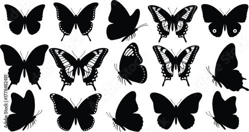 Black butterfly silhouettes in various wing shapes, insect design elements, nature icons, flying insects, entomology graphics, vector illustration set