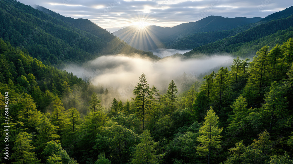 Fototapeta premium Breathtaking morning mist envelops lush green valleys, illuminated by radiant sunlight