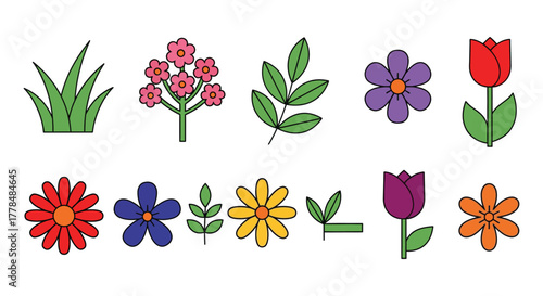 Vector floral elements spring flowers and grass design collection