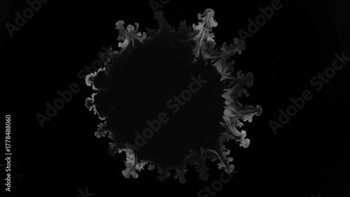 A grayscale, ink-like, circular shape with a textured, flowing border against a black backdrop