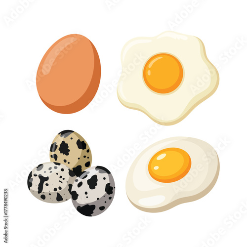 Collection of whole and fried eggs and quail eggs