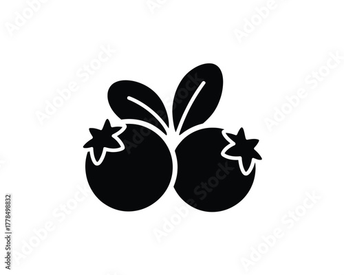 Simple silhouette of two blueberries with leaves