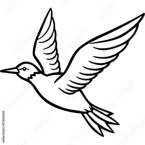 Black and White Line Drawing of a Bird in Flight