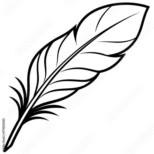 Elegant Single Feather Design Illustration