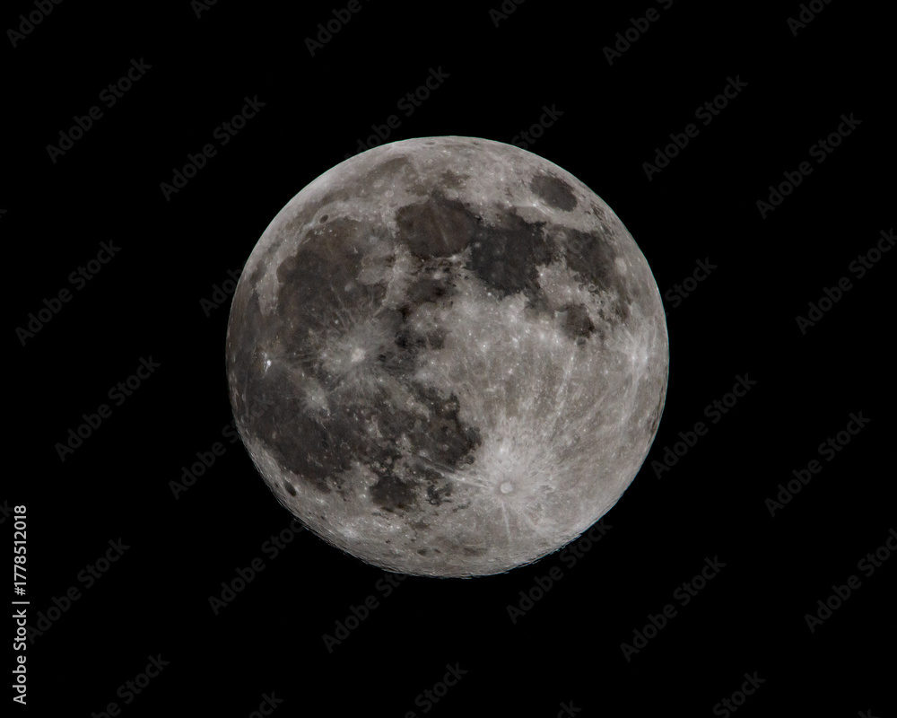 Obraz premium Super Beaver Moon Over Charlotte, North Carolina, November 2025