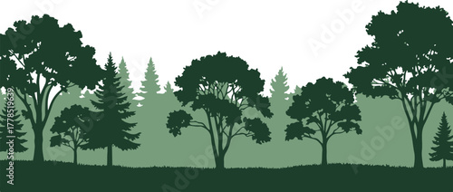 Silhouette of a forest landscape with various trees