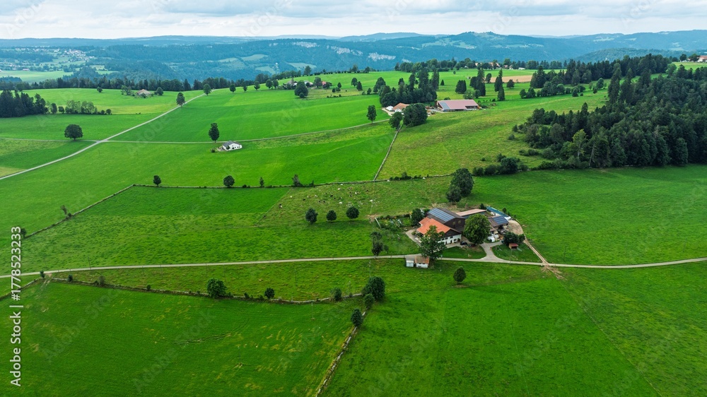 Naklejka premium A stunning drone shot of the Swiss countryside featuring green pastures, charming farmhouses, and majestic mountains, capturing the essence of rural Switzerland s natural beauty.