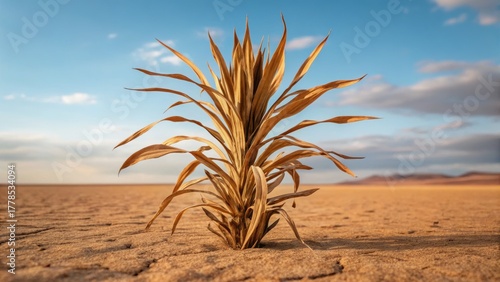 A solitary plant thrives in a vast desert landscape under a clear blue sky, showcasing resilience against harsh conditions.