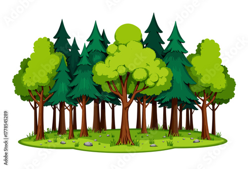 Lush Green Forest Illustration Featuring Dense Trees and Verdant Foliage Against a Clear Background with Vividly Detailed Tree Leaves and Grassy Ground