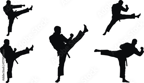 Martial arts silhouettes, karate kick poses, taekwondo training, self defense practice, combat sports illustration, fitness exercise, dynamic movement, black silhouette figures, high kick action