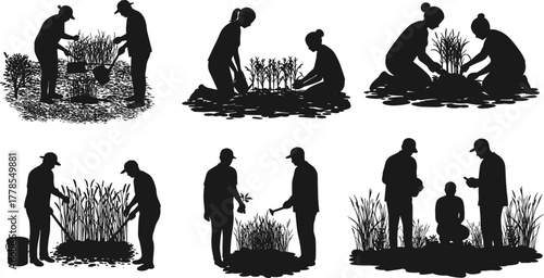 Community gardening teamwork silhouettes, people planting, watering, teaching, sustainable lifestyle, eco-friendly agriculture, teamwork education, outdoor activity, horticulture, 