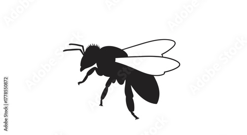 Silhouette of a bee with wings, legs, and antennae, isolated on white background.
