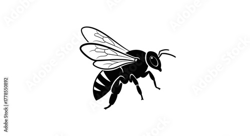 Illustration of a bee with detailed wings and striped abdomen in black and white.
