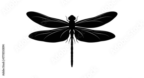 Silhouette of a dragonfly with its wings spread, showcasing its intricate body structure and delicate wings.