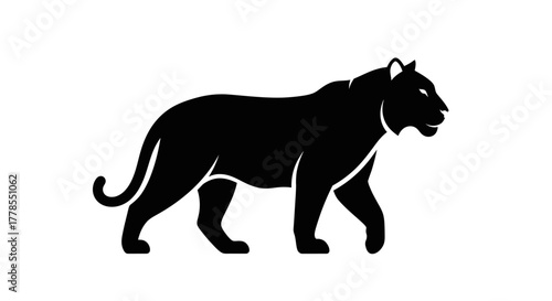 Black panther walking, side view, silhouette, isolated on white background.