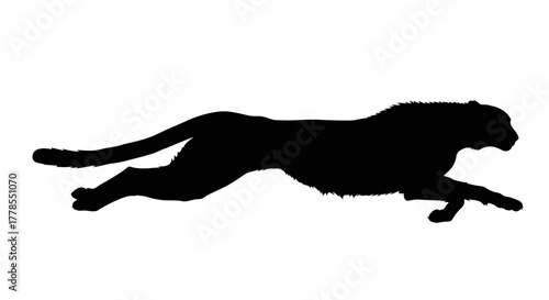 Silhouette of a cheetah running, showcasing its streamlined body and powerful legs, against a white background.