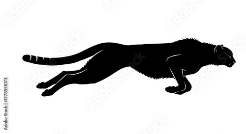 Silhouette of a cheetah in full stride, showcasing its speed and agility.
