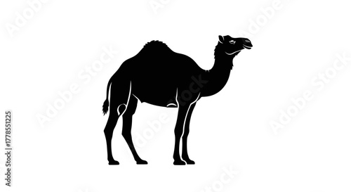 Silhouette of a standing camel, depicted in black against a white background, showcasing its distinctive hump and profile.