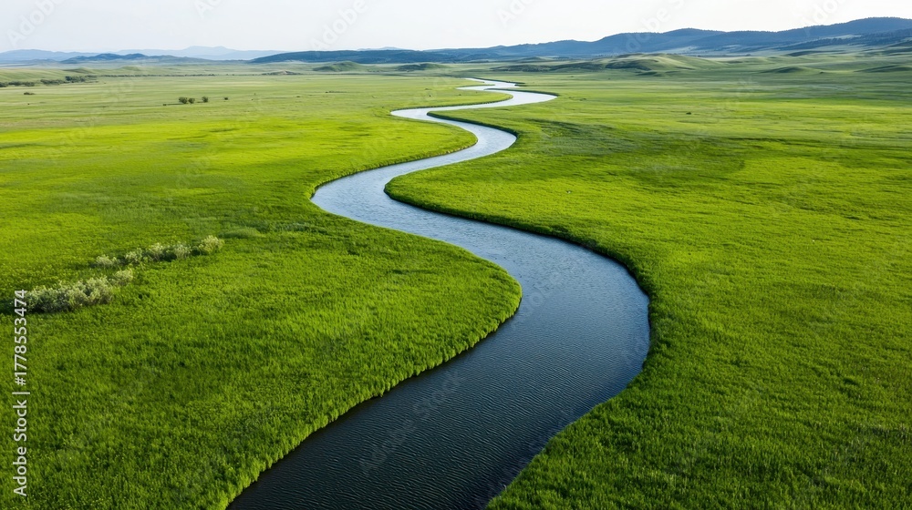 Naklejka premium Sustainability resources policy concept. Winding river flows through a lush green landscape under a clear sky.