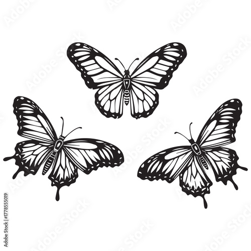Three Graceful Black Ink Butterflies