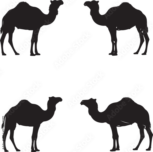 Camel Silhouette Set – Desert Animal Icons in Various Poses on White Background