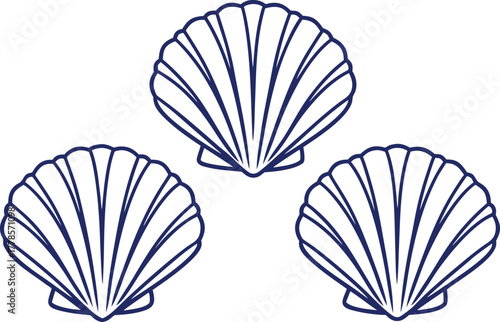 Cockles Shell Outline Illustration Set. Seashell Collection in Line Art Design. Marine Cockle Shell Outline Artwork. Ocean Shell Set Illustration Concept. Sea Cockles in Minimal Line Design. Shellfish