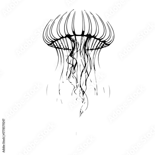 Minimalist Black and White Line Art Illustration of a Jellyfish Floating in Water