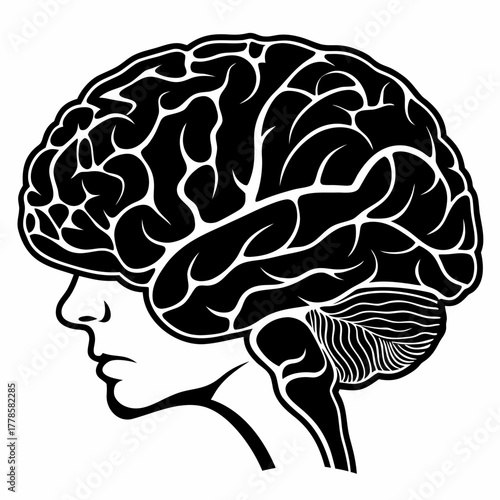 human brain vector illustration