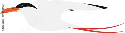 Minimalist Illustration of a Flying Caspian Tern Bird in Flat Style