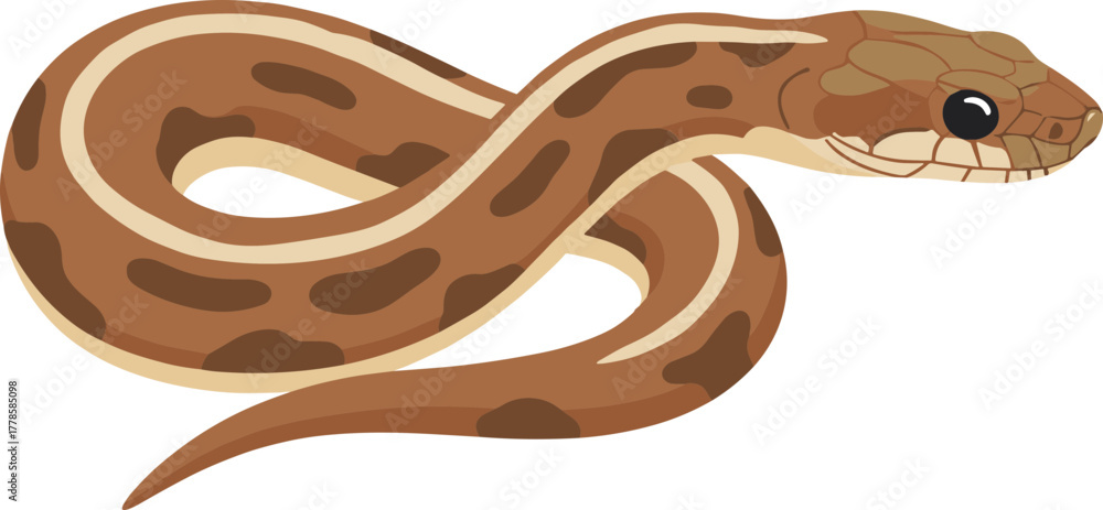 Fototapeta premium Simple Cartoon Style Brown Snake Animal Reptile Isolated Graphic Art