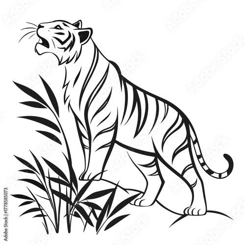 Illustration of a tiger roaring standing near bamboo plants in black and white outline style drawing art