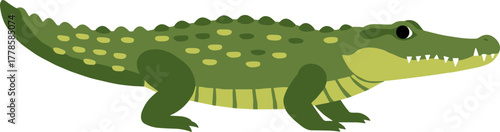 Flat Graphic Alligator Crocodile Reptile Animal Illustration in Simple Design