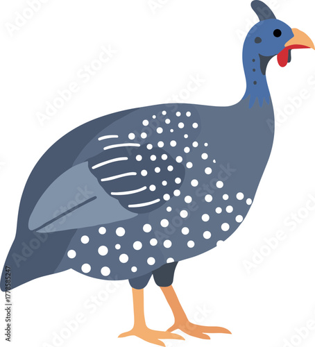 Flat Style Detailed Guinea Fowl Illustration Bird Animal